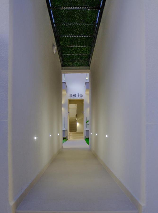 Aelia Seaside Luxury Suites 네아 카르발리 외부 사진